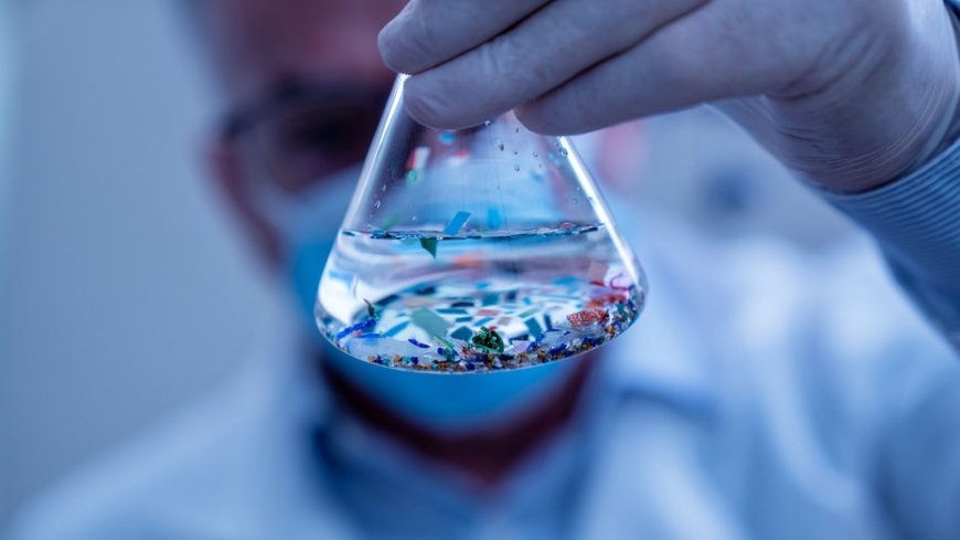 Microplastics detected in most heart attack patients' blood in startling new study
