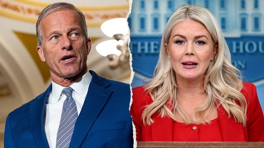 Trump's patience 'running out' as Thune fires back over stalled election security bill