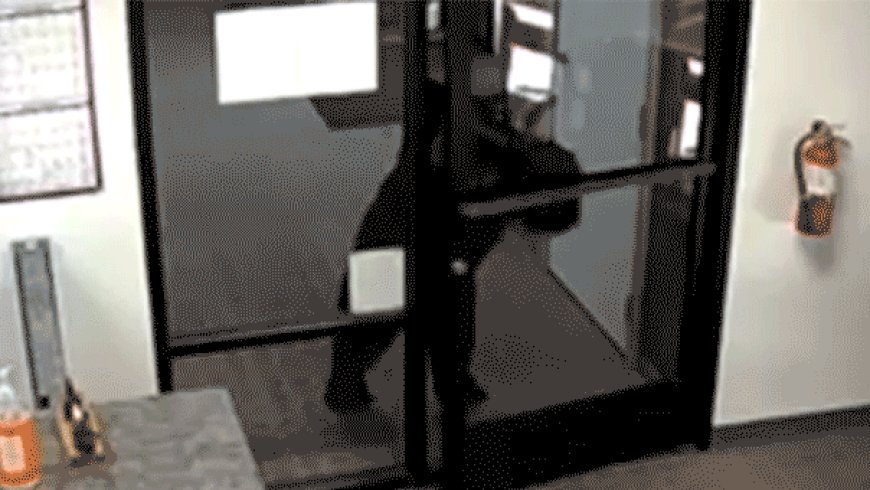Black bear caught on video wandering into California water district office after pushing open front door