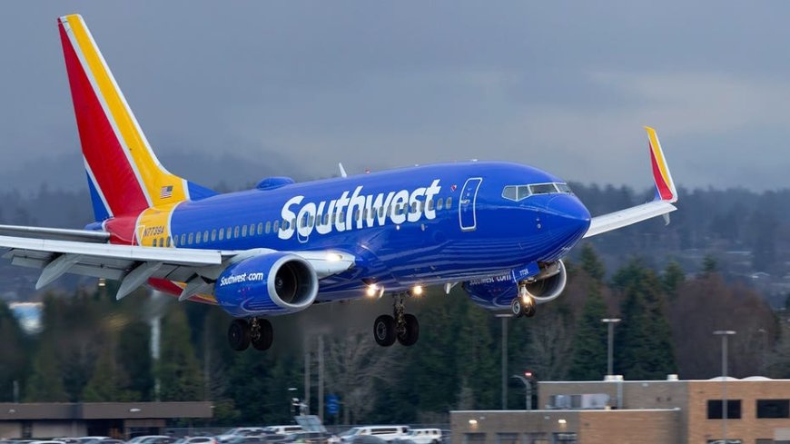 ICE arrests Southwest Airlines flight attendant in Nashville for overstaying visa since 2021