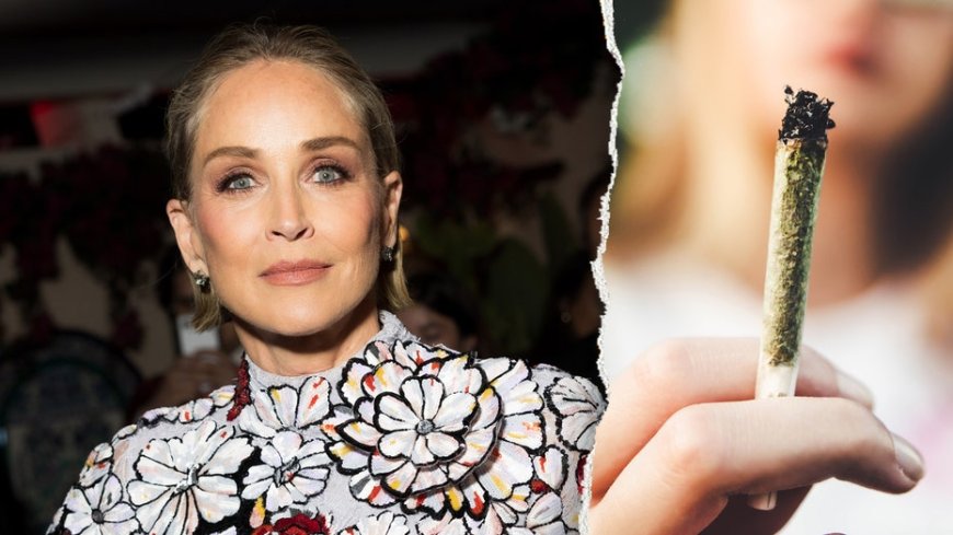 Sharon Stone's terrifying weed withdrawal sparks warning about today's potent marijuana