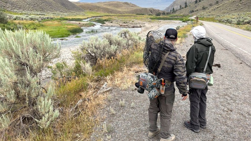 Urgent Yellowstone fishing closures hit 3 rivers as water turns deadly