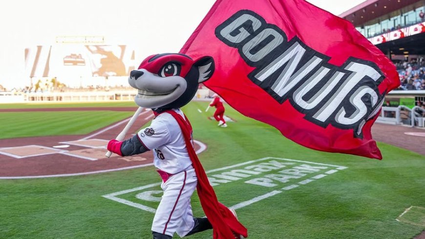 Minor league baseball team's fireworks go awry and send fans scrambling for cover in viral video
