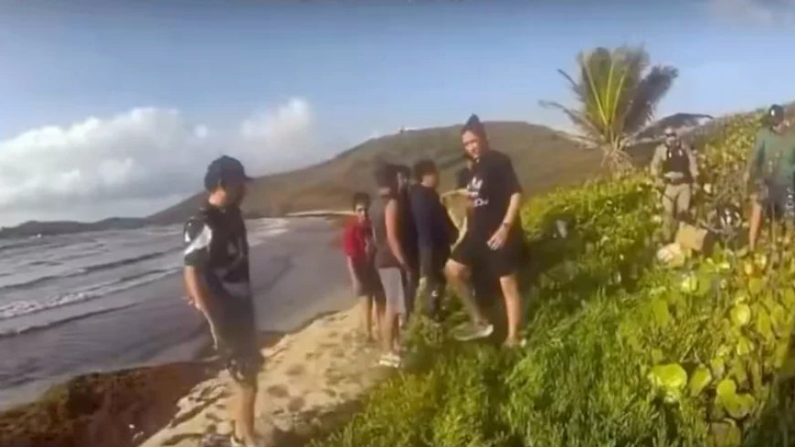 WATCH: Dozens of ‘Boat Migrants’ From Across Globe Swarm Puerto Rico