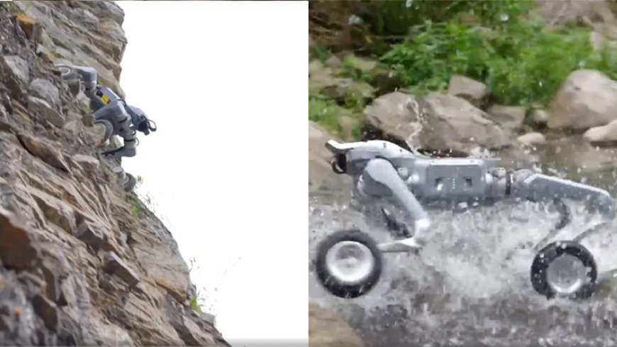 Video: Robot Dog On Wheels Will Deliver Your Food, Carry Your Things – Or Hunt You Down