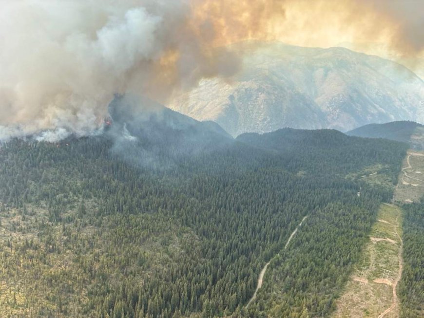 B.C. wildfires causing flickering lights, outages for some BC Hydro customers