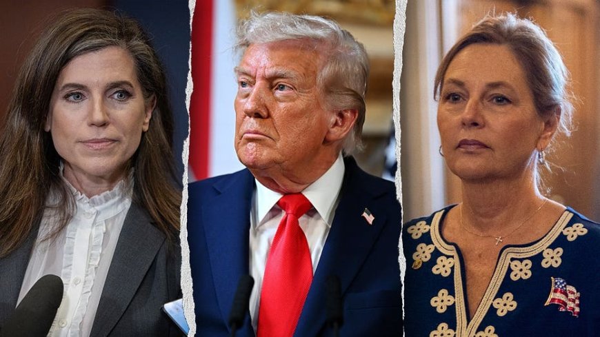 Mace breaks with Trump, questions whether Lindsey Graham's sister is 'qualified' for ballot