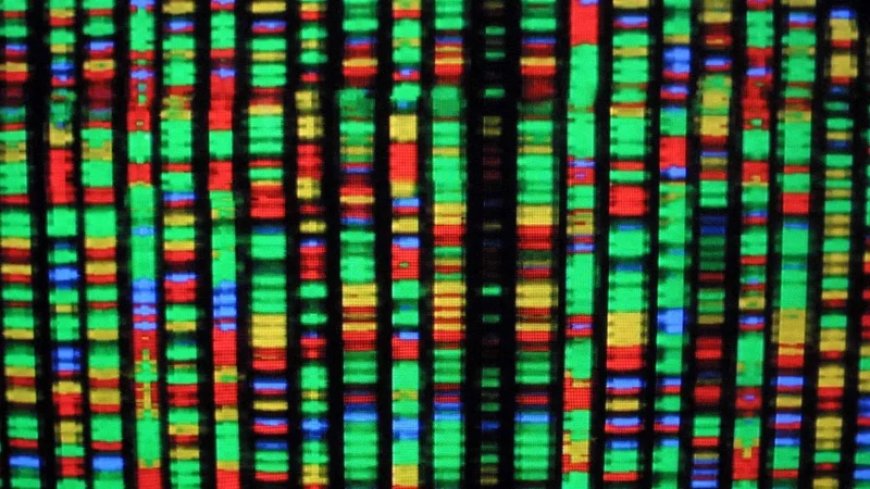 Girl Died in Gene-therapy Trial, Chinese Authorities Covered It Up