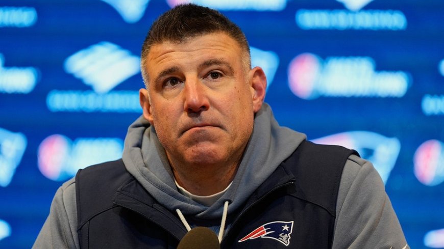 Mike Vrabel arrives to Patriots press conference with puppy in hand as he dodges Dianna Russini question