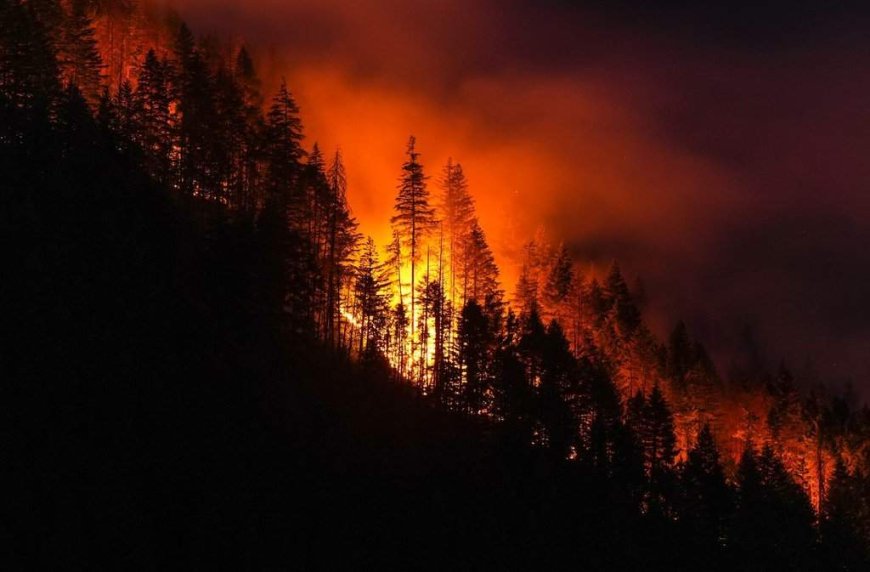 After experiencing 2016 wildfire, Fort McMurray survivor addresses evacuation trauma
