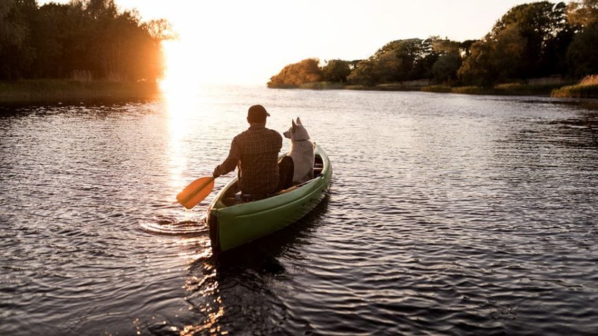 Man who beat rare cancer celebrates by canoeing 2,000 miles with his dog