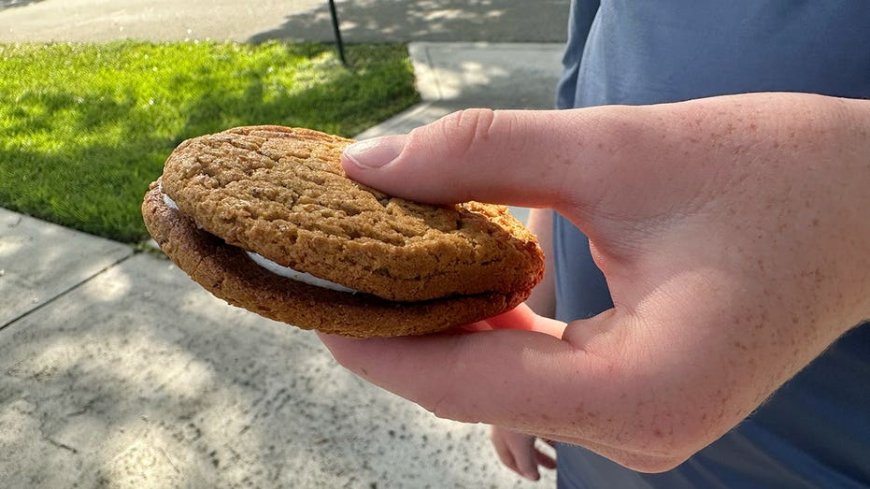 Depression-era Little Debbie snack that built a family-run bakery still has Americans hooked