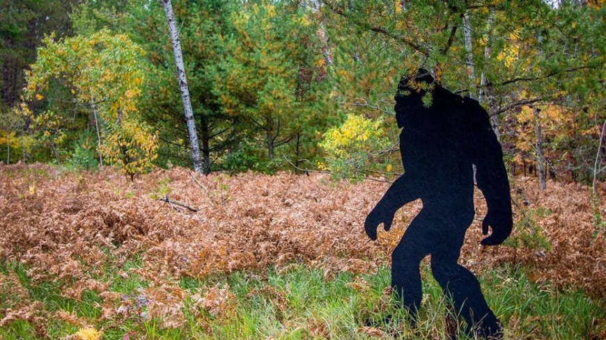 Witness recounts Fourth of July weekend Bigfoot sighting in Connecticut, says 'there were no boobs'