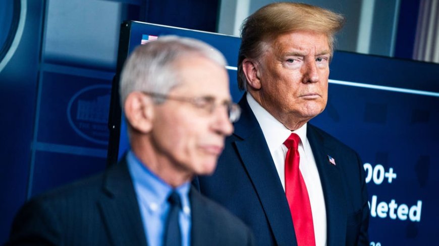 Inside Fauci's private diary: What he wrote about Trump, TV personalities and celebrities