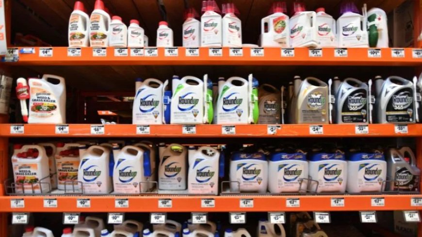New Study Links Glyphosate to Preterm Birth