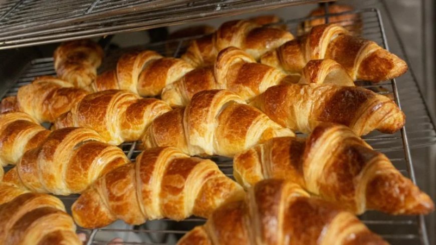 The Food Is Better in Europe: Yes, but for How Much Longer?