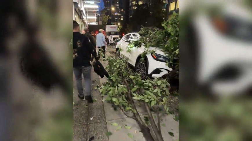 Driver fined $2,000 for wild 2024 crash in downtown Vancouver