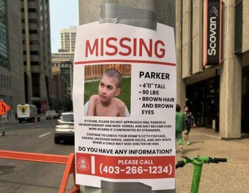 Calgary police scaling back physical search for missing 11-year-old boy