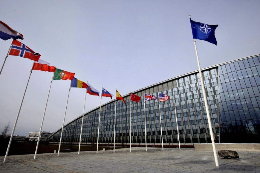 Minister vows probe of ‘quite serious’ charges against Canadian NATO intern