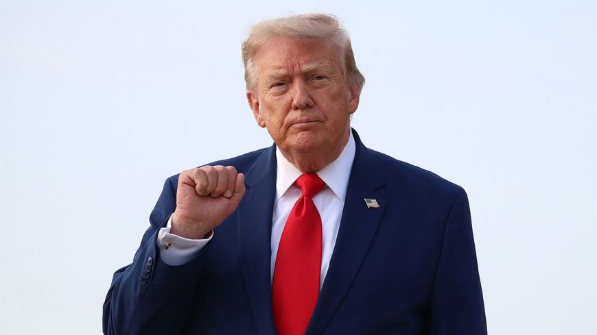 LIZ PEEK: Trump is starving the machine that creates America's socialist revolutionaries