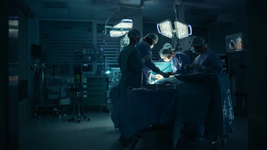 Canadian Doctors Propose ‘Death By Organ Donation’ For Euthanasia Seekers