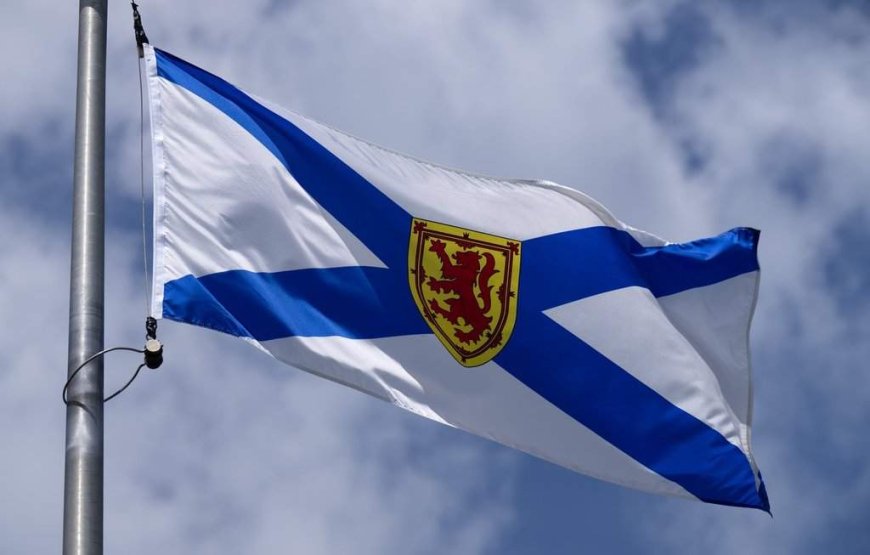 Foster parent advocacy group says Nova Scotia plans to cut all its funding next year