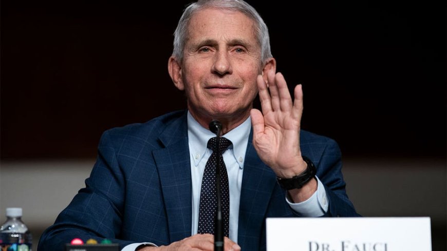 Anthony Fauci diary entries set social media ablaze as critics mock, condemn behavior