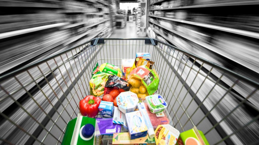 Experts scorch Mamdani's grocery plan as an 'illusion' that will have taxpayers footing the bill