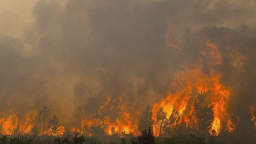 Deadly French wildfires threaten missile plants, nuclear sites as fourth heatwave looms