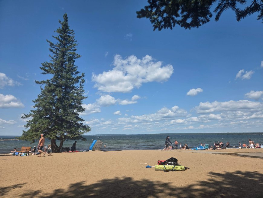 Visitors say elk encounters, tensions on the rise at Waskesiu