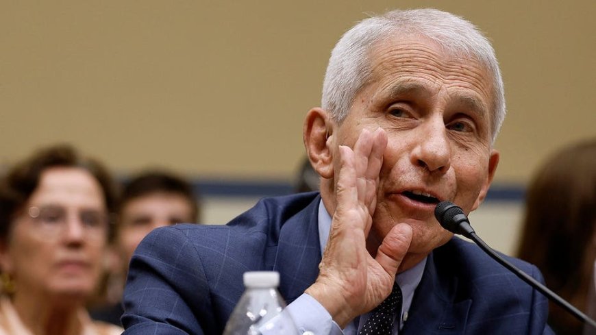 Hawley trolls Fauci's blanket Fifth Amendment claims exposing 'contempt for this body'