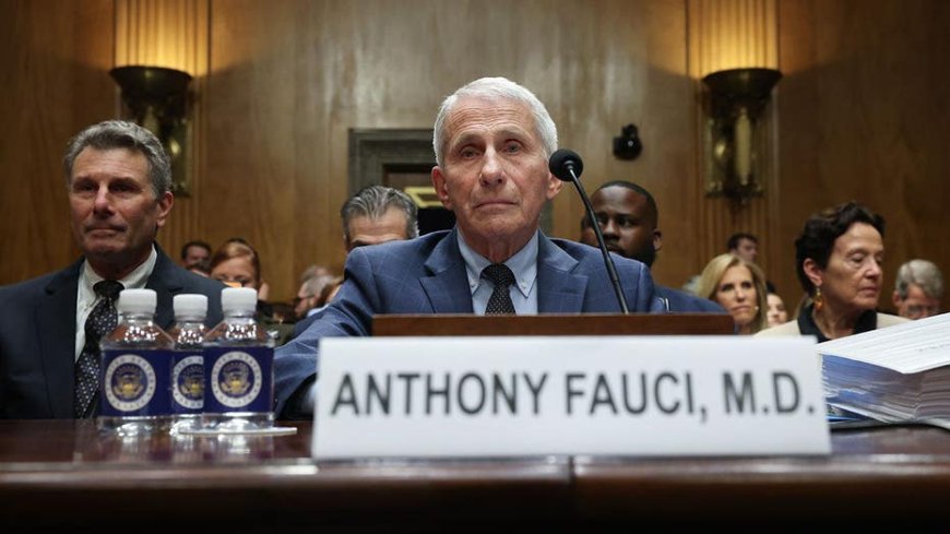 Top 5 moments from Fauci's hearing: Paul boots lawyer, Moreno erupts as contempt vote looms