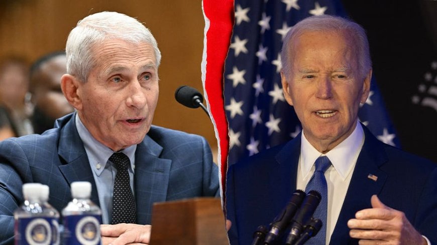 Halperin compares Fauci diary media coverage to Biden's mental decline, calls it another cover-up
