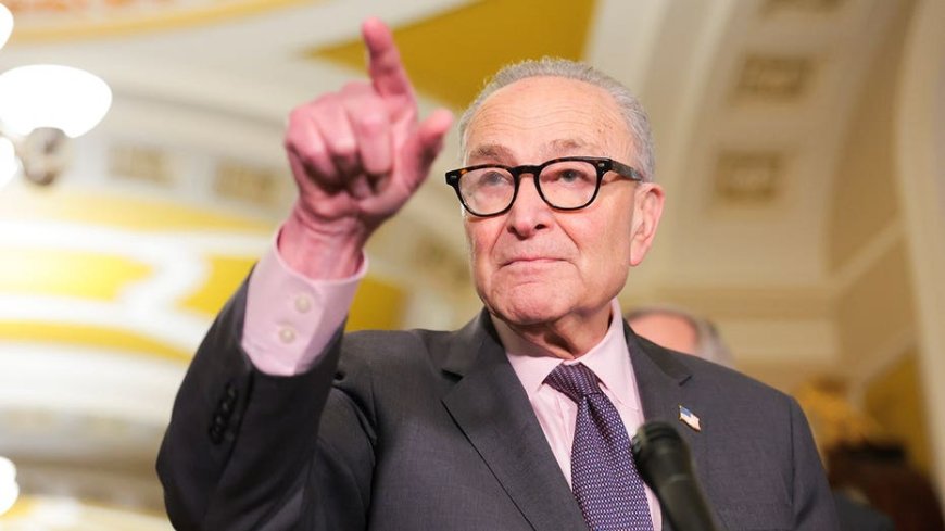 Schumer dodges question on whether DSA belongs in Democratic Party