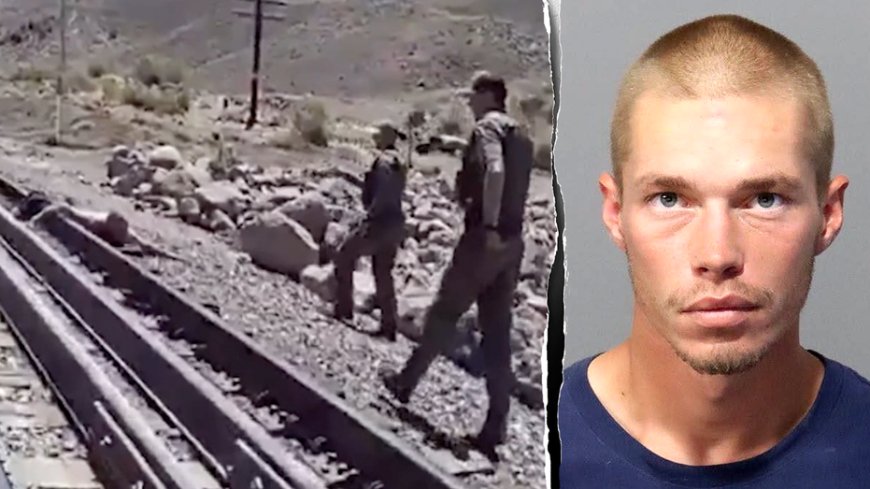 Escaped inmate's bid for freedom comes to crashing end after coordinated manhunt closes in