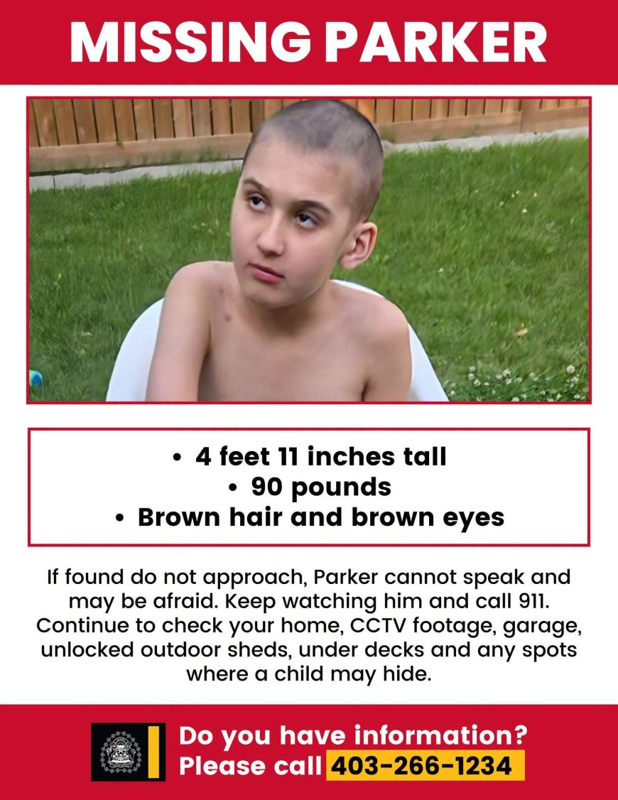 Calgary police resume ground search for missing 11-year-old boy