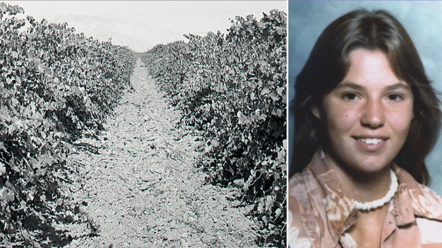 Teen found in shallow California vineyard grave identified nearly 50 years later as family warns killer