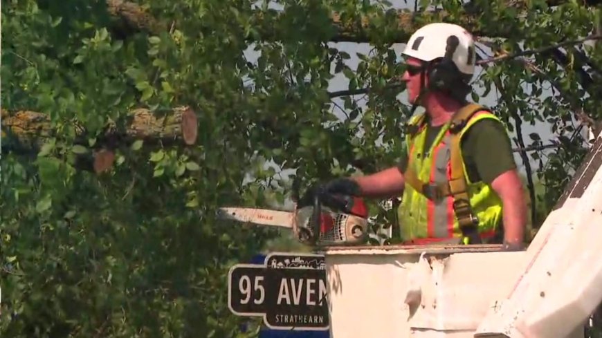 Thunderstorm cleanup expected to cost City of Edmonton $20-$30 million