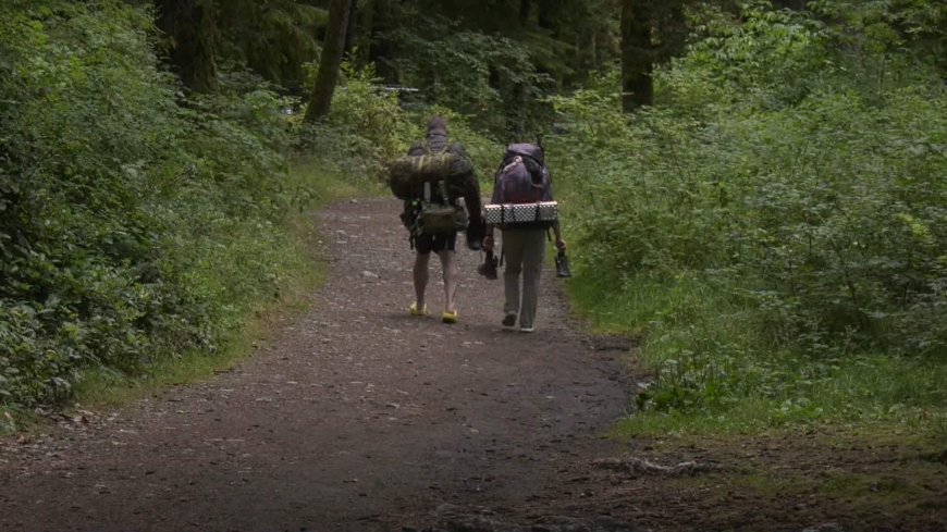 Hikers evacuated from West Coast Trail as Parks Canada says parts are impassable