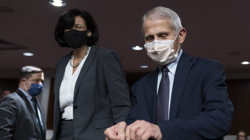 MORNING GLORY: The Fauci diaries and legacy media’s platinum dome under stress
