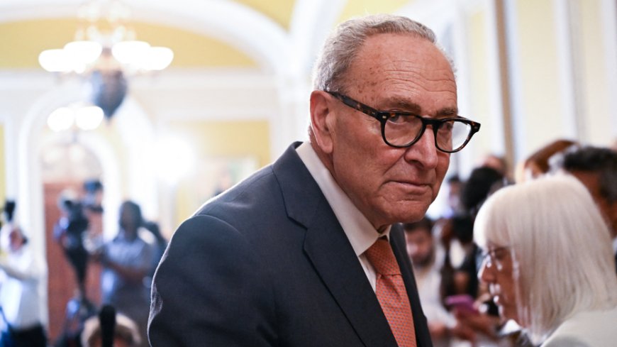 WATCH: Schumer's anti-corruption speech derailed after heckler brands him 'genocidal maniac'