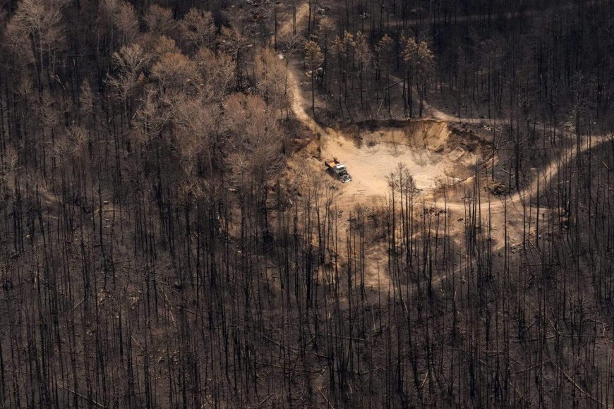 Ontario wildfire situation moving in ‘reassuring direction’ despite heat