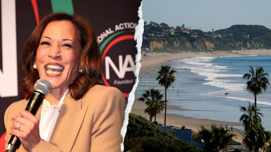 Kamala Harris' new $8M mansion is in a neighborhood with virtually no Black residents