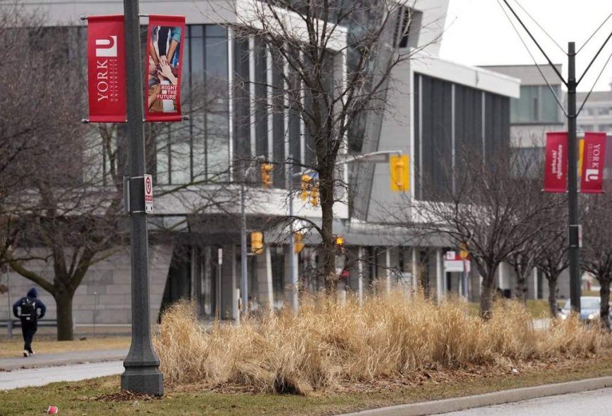 Ontario funds new family medical school as it preps for 2028 opening
