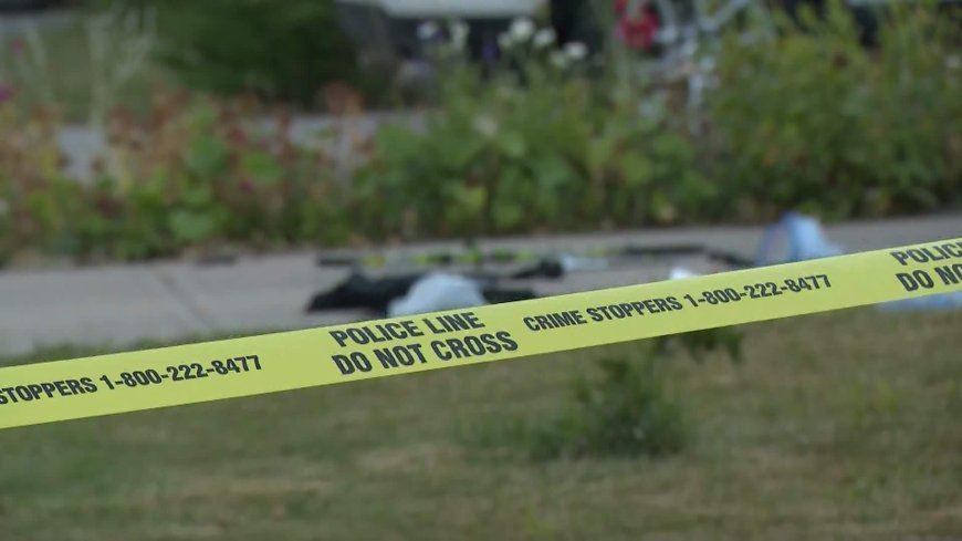 Investigation underway into early morning police shooting in Calgary