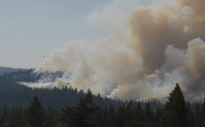 Wildfire near Logan Lake prompts evacuation alerts, partial closure of highway