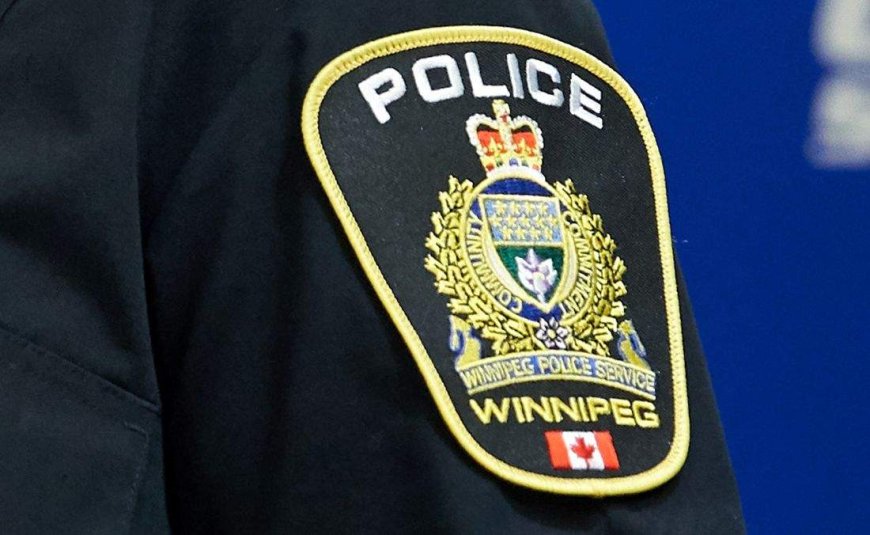 ‘Thirsty, distressed dog’ left in hot car at Winnipeg grocery store: WPS