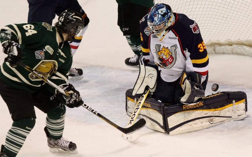 OHL approves Barrie Colts sale to Toronto-area businessman John Careri