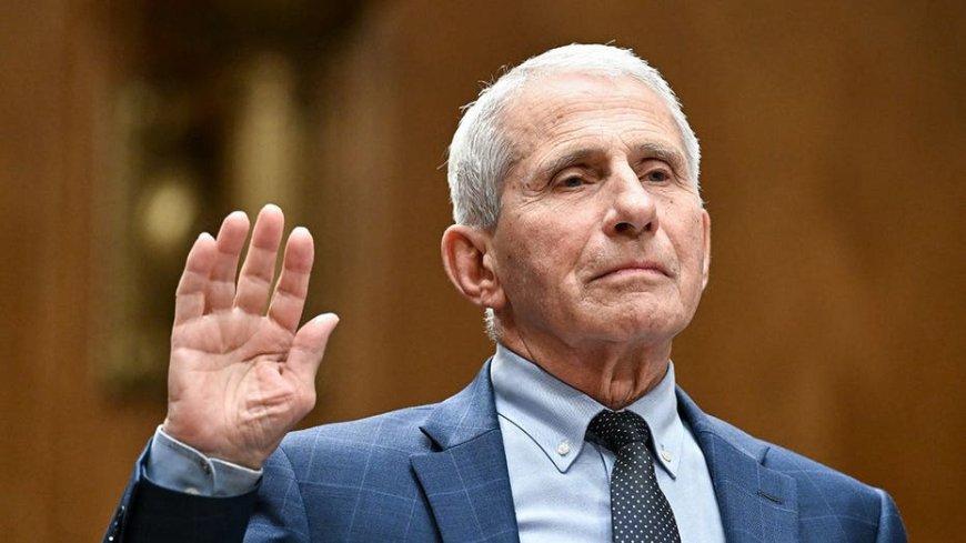 Fauci faces lifetime ban from federal government work under new bill following explosive hearing