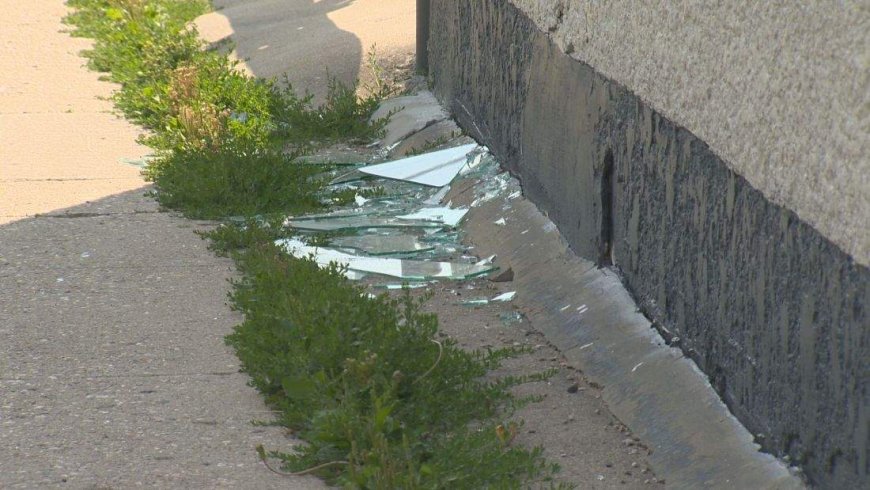 Winnipeg mosque was likely shot at with pellet-style gun, police say